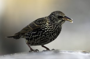 19eccb70-fb58-4da2-9d30-bf7354b5e168 bearbeitet.jpg