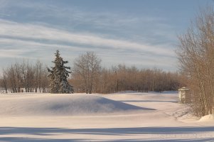 Lonely WM s 200w.jpg