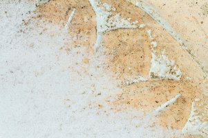 _MG_6189 copy copy.jpg