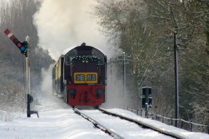 untitled (1 of 1).JPG