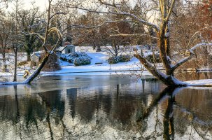 Winter Day Spring Grove Cemetery-1.jpg