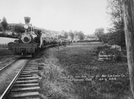 Train 30 cars sharp.jpg