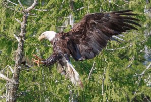 IMG_5261.jpg