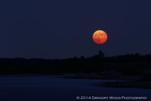 2014-09-09_Harvest_Moon_Grapevine_20-19-01.jpg
