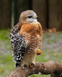 Country Roads_020.jpg