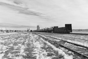 _MG_1647 copy_edit-Exposure3.jpg