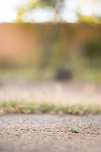 EOS-6D, 40mm@f2.8 (Full Frame).jpg