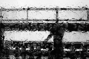 Amsterdam bridge.jpg