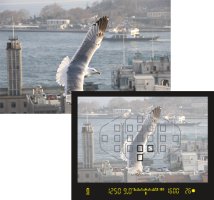 eos 750 19_point_AF.jpg