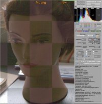 Dual iso ML vs CR2 .jpg
