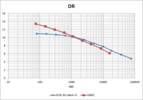 5DIII versus D800 DR.jpg