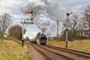 EOS 5D Mark III_150131_5806_DxO.jpg