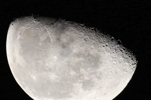 IMG_7399_DxO.jpg