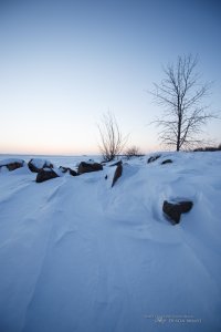 37 Tamron Wide Open.jpg