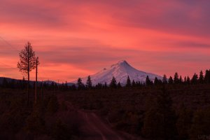 MtHood_sunset.jpg