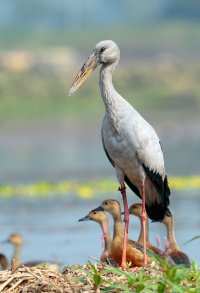 _M2A0217.jpg