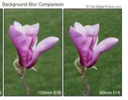 Screen Shot 2015-02-22 at 8.42.06 PM.png