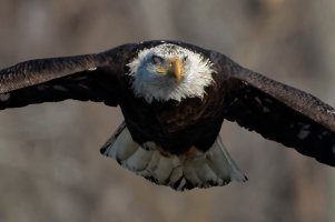 154A0980_DxO_2 (2).jpg