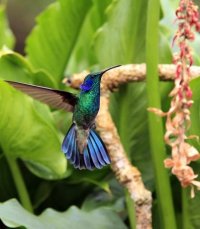 IMG_2738-2 low res.jpg