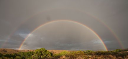 Rainbow.jpg