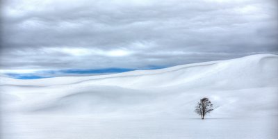 201A9885_tonemapped_lores.JPG