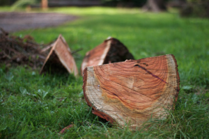 Screen Shot 2015-03-09 at 10.01.45.png