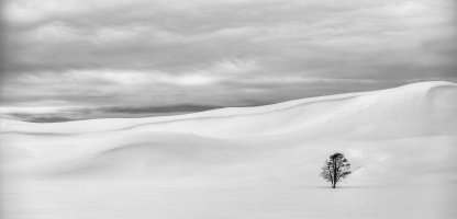 201A9885_tonemapped_v3monochrome_lores.JPG