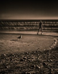 Not Alone [1080].jpg