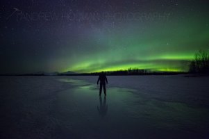northern lights self portrait.jpg