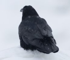 untitled-3.jpg