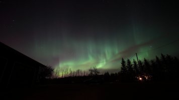 NL_25352.JPG
