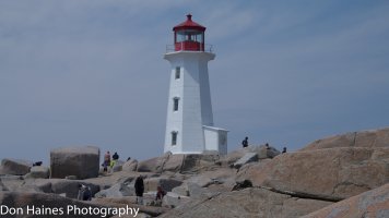 IMG_2190.jpg