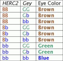 EyeColorChart2.gif