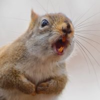 154A1406_DxOM (3).jpg