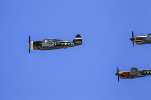 P47 P40s 300 5D 2.jpg