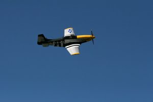 P51 - Oh My.jpg