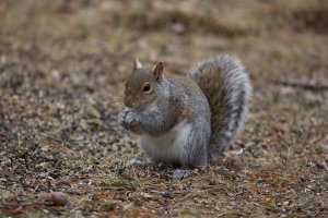 IMG_6514.jpg