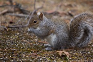 IMG_6521.jpg