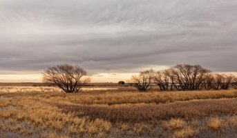 _MG_1808_DxO - Version 2.jpg