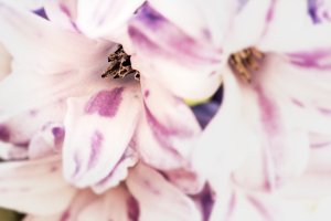 _MG_8787_DxO copy.jpg