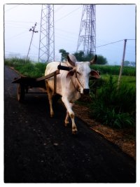 IMG_1457 - Version 2.jpg