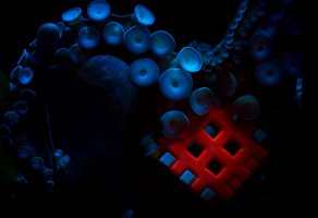untitled-8433.jpg