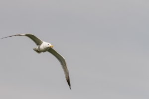 _MG_9540_DxO.jpg