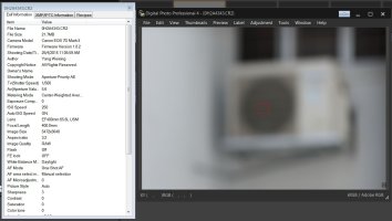 7D2MissAFRealWorldTest-Miss.jpg