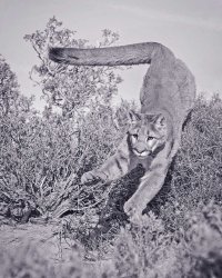 BM9P4484_1 copy copy.jpg