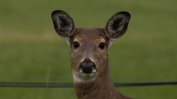 IMG_2980.jpg