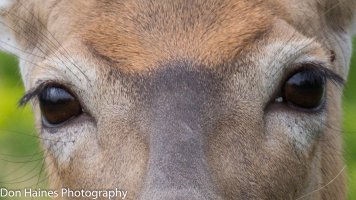 IMG_9093.jpg