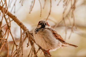 _MG_88861_DxO.jpg