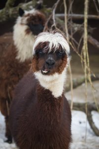 IMG_2015-02-13_10-20-00_5979-L-W.jpg