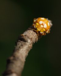 2E0A7960.JPG